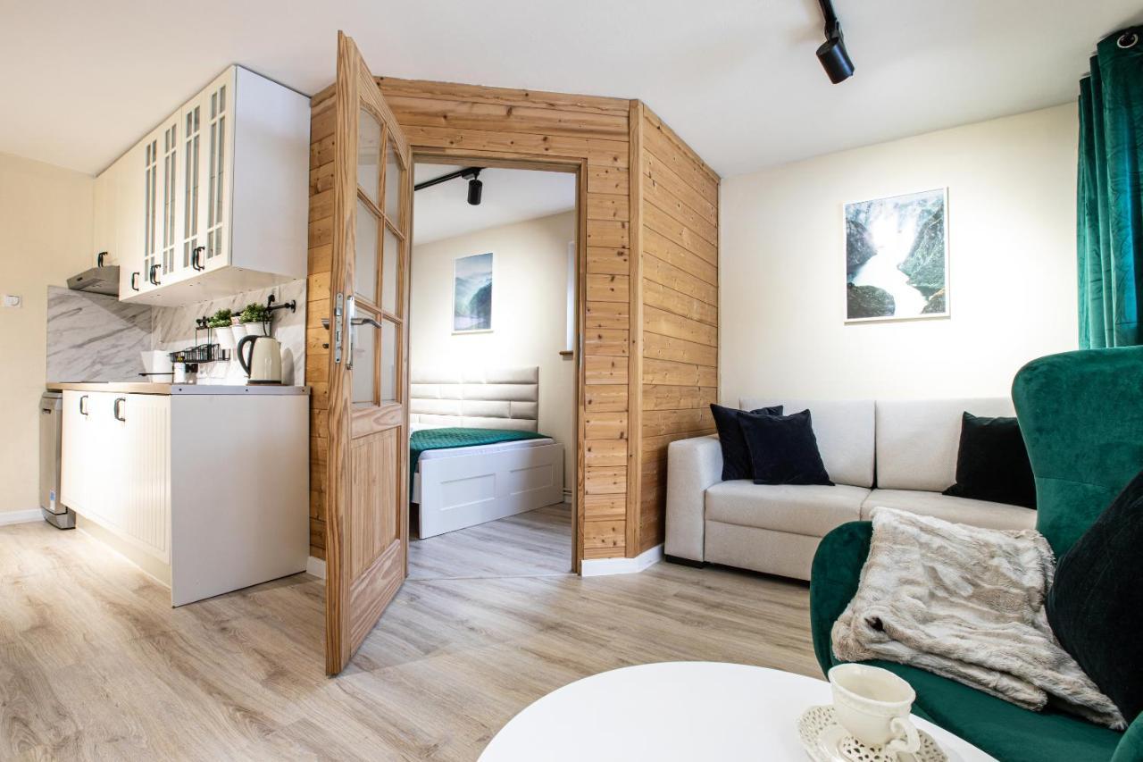 Apartament Z Sauna Zakopane Dış mekan fotoğraf