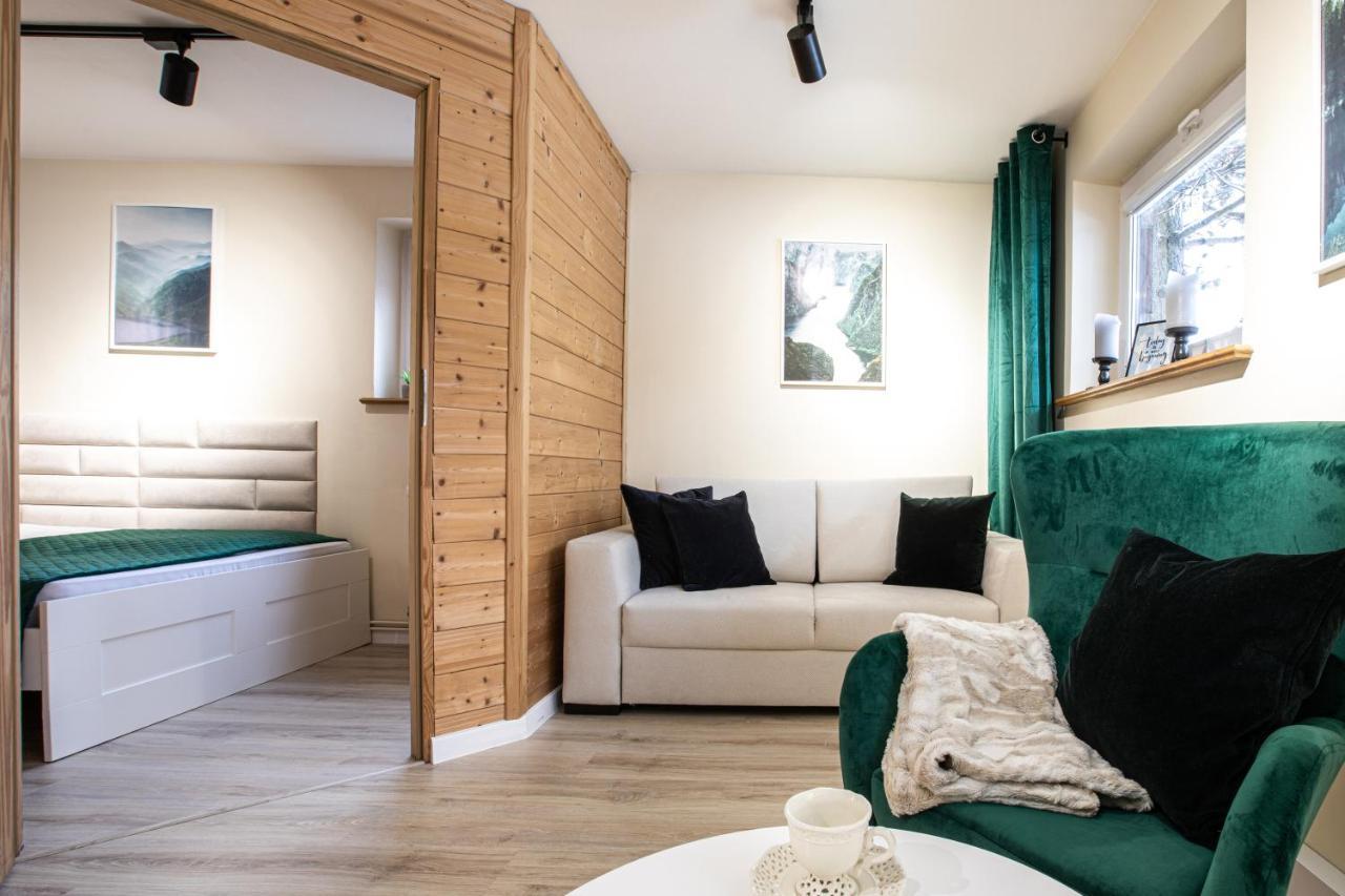 Apartament Z Sauna Zakopane Dış mekan fotoğraf